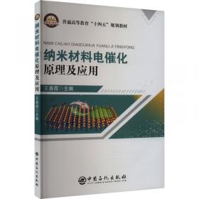 纳米与分子电子学手册