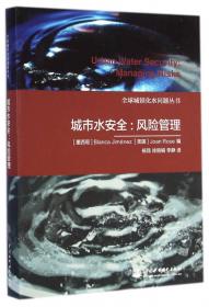全球城镇化水问题丛书：城市水循环过程及其交互