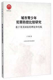 中国构建和谐社会进程中犯罪防控研究