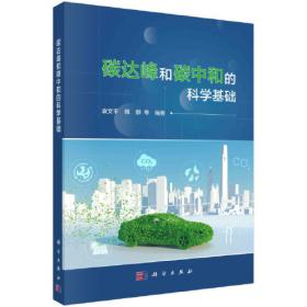 碳达峰碳中和目标下中国交通低碳转型发展战略与路径研究