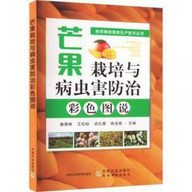 芒果英语 手把手学英语系列：小学生英语满分作文大全