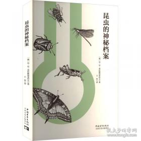 昆虫