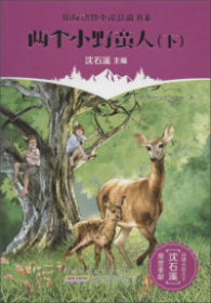 新课标小学课外阅读丛书第五辑  西顿动物故事集