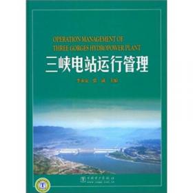 三峡工程资本运营探索与实践