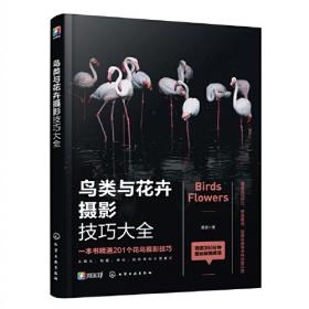 鸟类之书：世界大师手绘经典