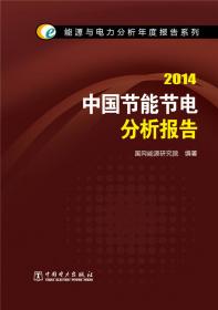 能源与电力分析年度报告系列：2013世界能源与电力发展状况分析报告