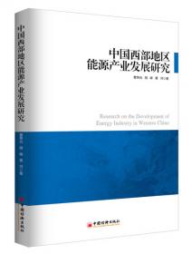 基于国家实践的区域发展政策研究