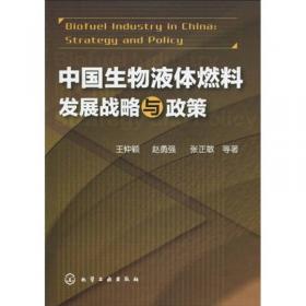 中国工业化规模沼气开发战略（英文版）