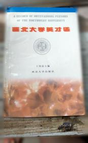 西北石油年鉴.2008