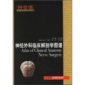 血管外科临床解剖学