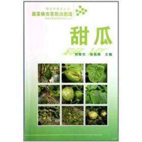 西瓜-蔬菜病虫害防治图谱