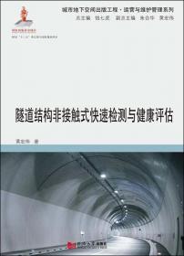 岩土工程新技术与应用丛书：隧道及地下工程的全寿命风险管理