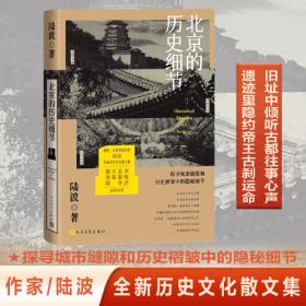 北京市村党组织第一书记驻村工作案例选