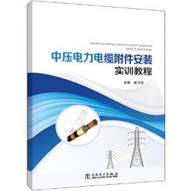 中压配电系统（第一分册）/5000吨起重铺管船电气设备原理与使用维护系列丛书