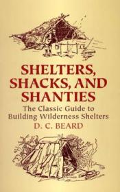 Illustrated Dictionary of Historic Architecture(Dover Books on Architecture)