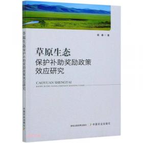 中国少数民族当代文学史
