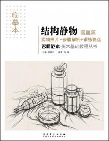 美术基础教程丛书：名师范本·结构静物·综合篇（临摹本）