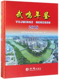 中国南宁经济发展报告. 2015