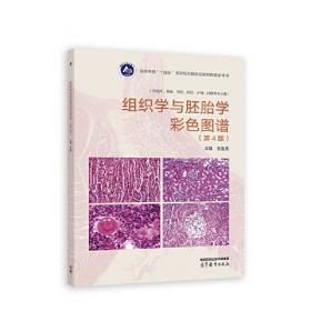 组织学与胚胎学彩色图谱
