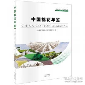 中国史略丛刊.第二辑—中国人文小史