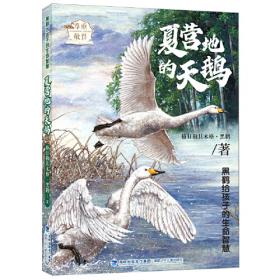 黑鹤自然小说（全8册）