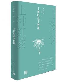 新中国70年70部长篇小说典藏：长恨歌