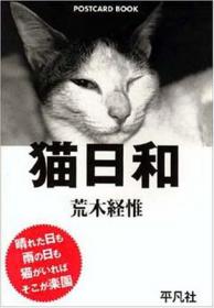 Works of Nobuyoshi Araki：Private Diary 1999 v. 9