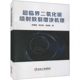 超临界二氧化碳燃煤发电理论与技术