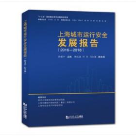 超大城市韧性建设--关键基础设施安全运行的上海实践(上海智库报告)
