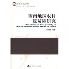 政府间税收竞争研究:基于中国实践的理论与经验分析