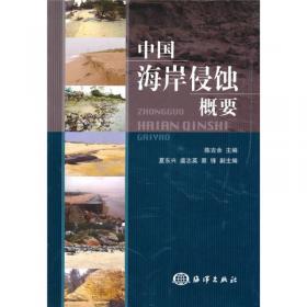 21世纪的长江河口初探