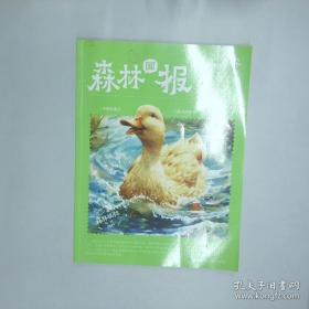 森林之歌