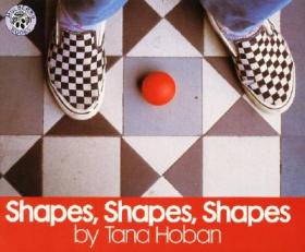Shapes (Froobles Magnetic Play and Learn)