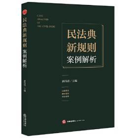 当代经济刑法研究丛书：经济刑法实务精析