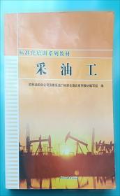 胜利油田勘探开发研究院六十年理论技术文集 勘探篇