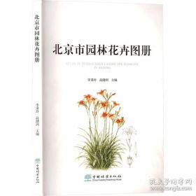 北京记忆·皇城童话《等等，绣球花》