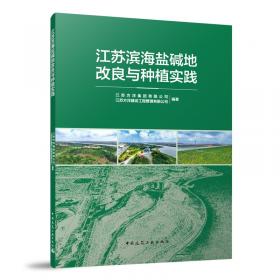 江苏省中型灌区续建配套与现代化改造规划(2021-2035)/江苏省十四五农村水利规划丛书