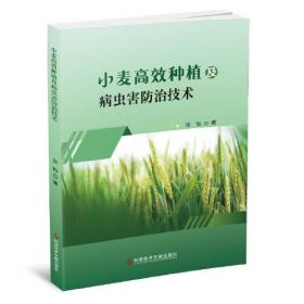 小麦绿色高产栽培理论技术体系与实践 