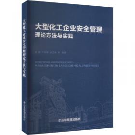 大型新能源基地电源规划理论与应用