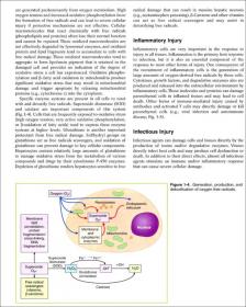 医学整合课程系列教材·原版影印：整合生理学