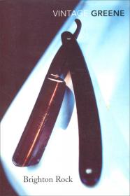 Bright Futures: Guidelines for Health Supervision of Infants, Children, and Adolescents