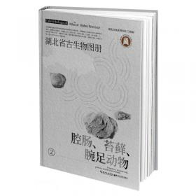 湖北省古生物图册(5半索脊索动物)(精)
