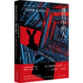 迷宫（全4册）初级篇 彩图大字版 专注力逻辑思维训练