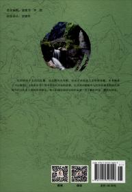 红河学院国别研究丛书：泰国罗米阿卡人文化调查研究
