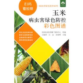 玉米高产栽培新技术