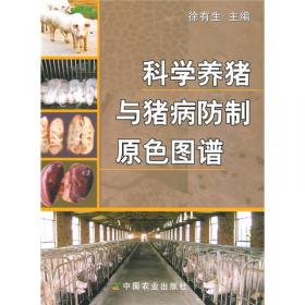 瘦肉型猪饲养管理及疾病防制（彩图图谱）