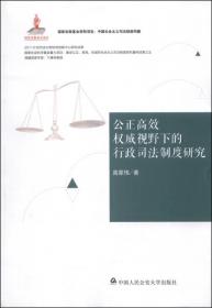 中国社会主义司法制度构建：公正高效权威视野下的刑事司法制度研究