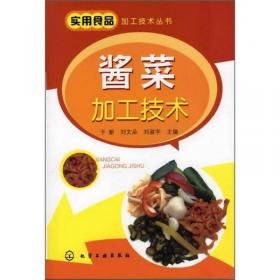 实用食品加工技术丛书：豆腐制品加工技术