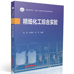 精细化工产品生产技术丛书：精细有机中间体生产技术