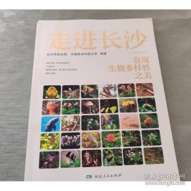 走进美妙的数学花园